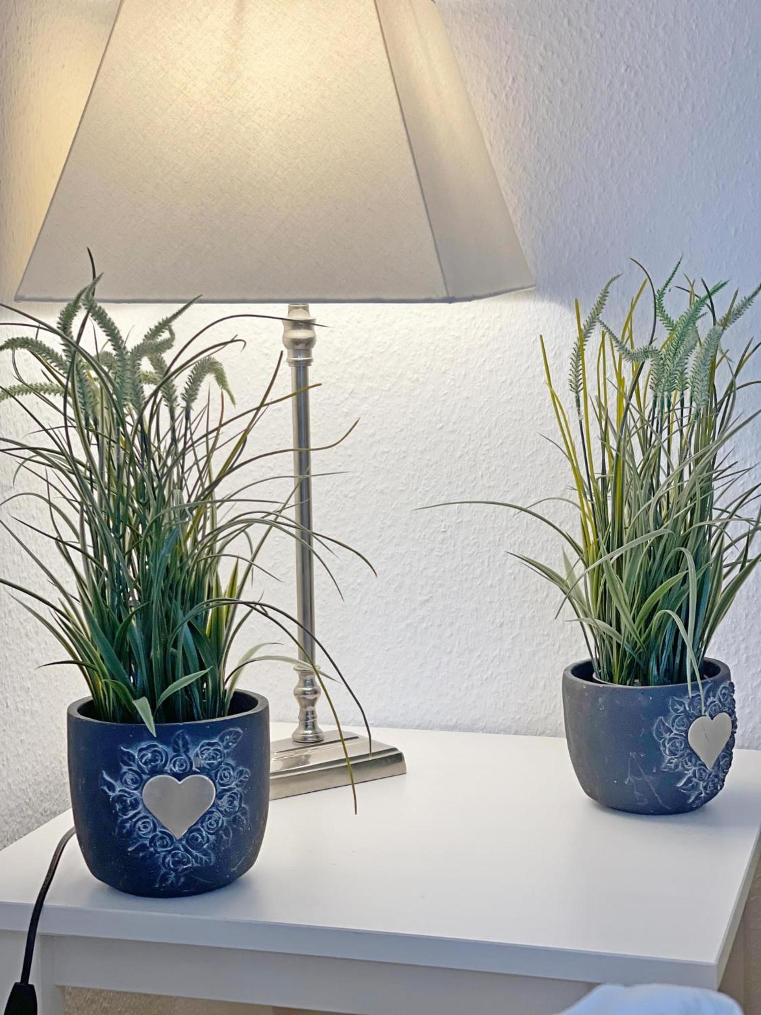 Mit Terasse Haus Calma Apartment Wenningstedt-Braderup